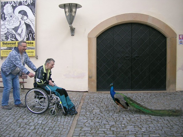 Blízká setkání