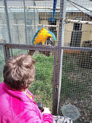 Zoopark Stěžery