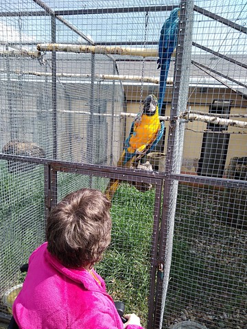 Zoopark Stěžery