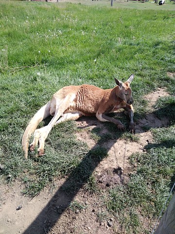 Zoopark Stěžery