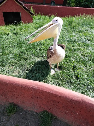 Zoopark Stěžery