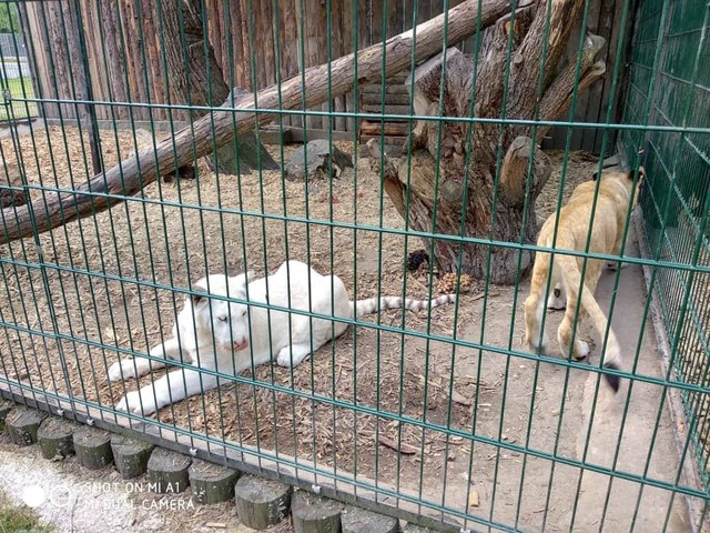 Biopark Štít