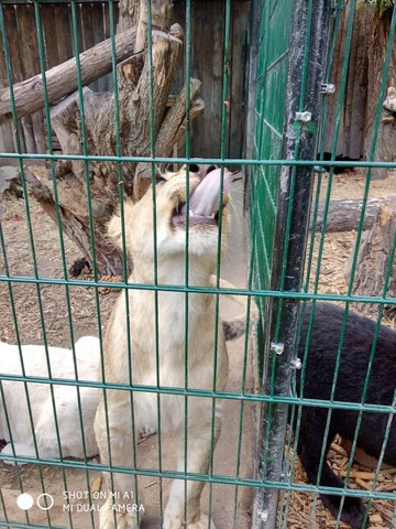 Biopark Štít