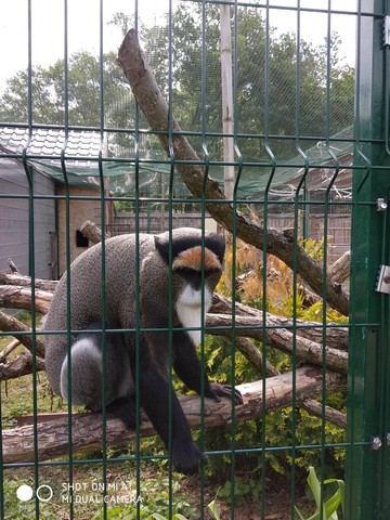 Biopark Štít
