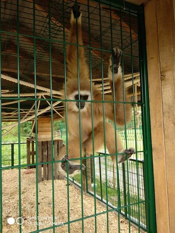 Biopark Štít
