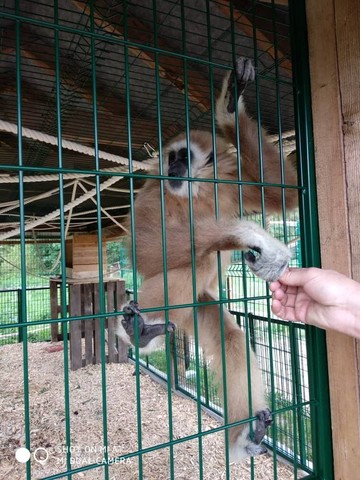 Biopark Štít