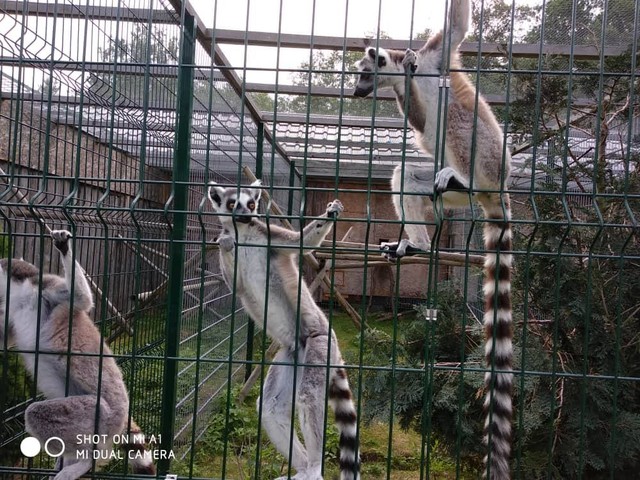 Biopark Štít