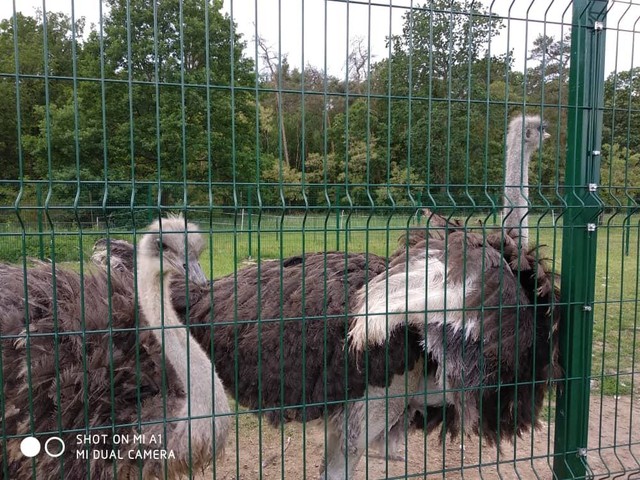 Biopark Štít