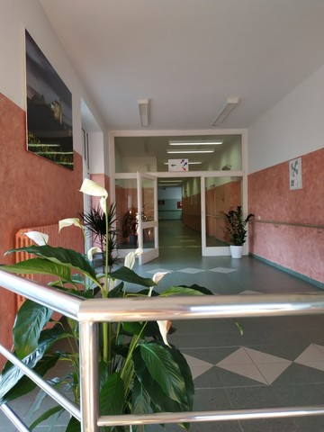 Vestibul